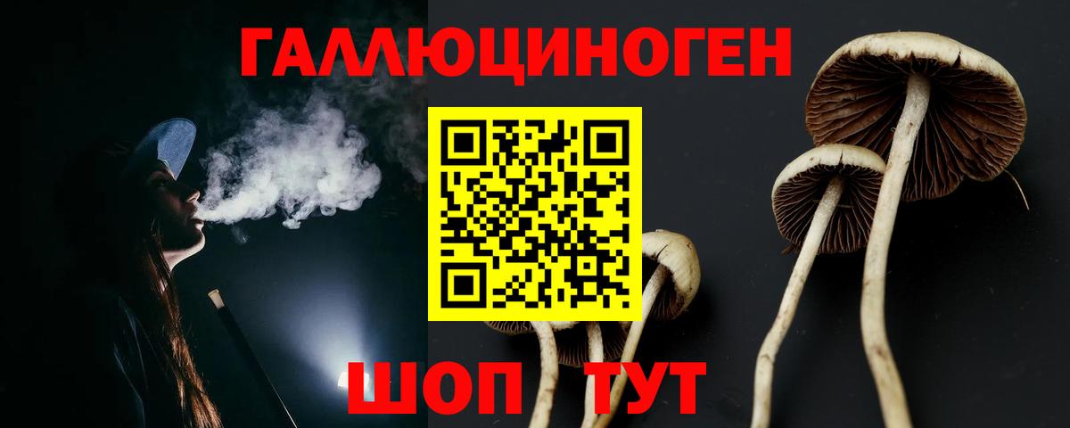 купить   Вход с VPN  Павлово  Псилоцибиновые грибы ЛСД 